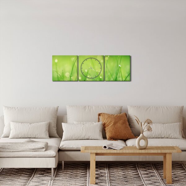 Obraz - rosa na trávě (s hodinami) (90x30 cm)