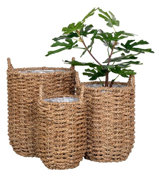 Obaly na květináče z mořské trávy v sadě 3 ks ø 31 cm Hue – House Nordic