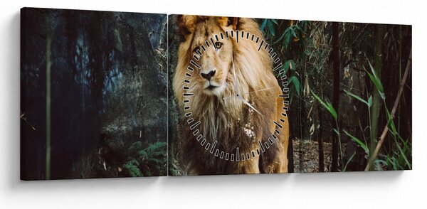 Obraz lva v přírodě (s hodinami) (90x30 cm)