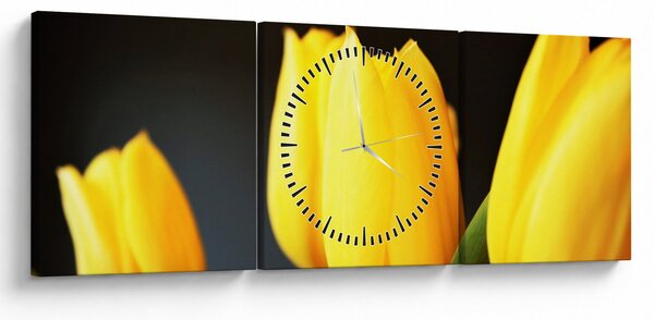Obraz tulipánů (s hodinami) (90x30 cm)