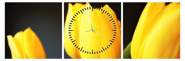 Obraz tulipánů (s hodinami) (90x30 cm)