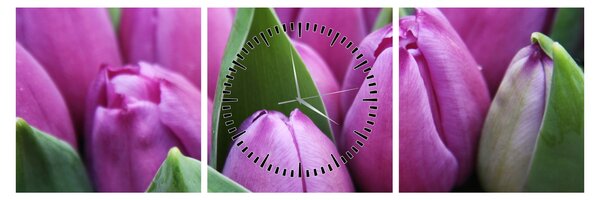 Obraz - květy tulipánů (s hodinami) (90x30 cm)