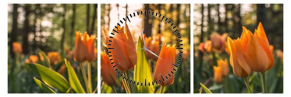 Obraz - květy tulipánů (s hodinami) (90x30 cm)
