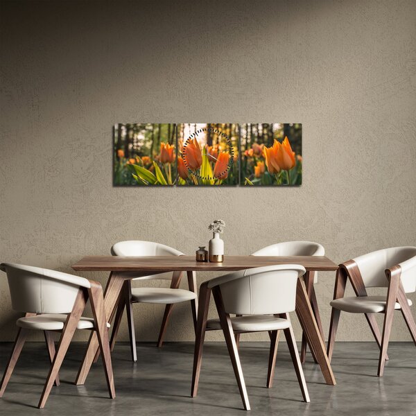 Obraz - květy tulipánů (s hodinami) (90x30 cm)