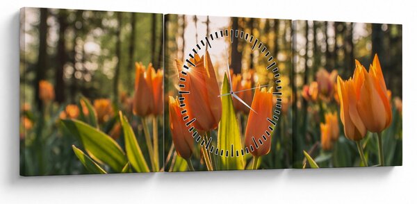 Obraz - květy tulipánů (s hodinami) (90x30 cm)