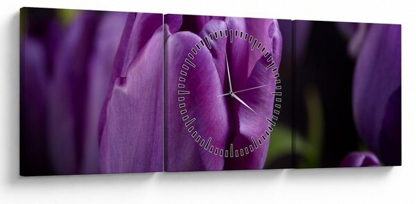 Obraz květů tulipánů (s hodinami) (90x30 cm)
