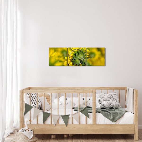 Obraz slunečnice (s hodinami) (90x30 cm)