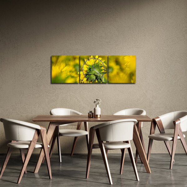 Obraz slunečnice (s hodinami) (90x30 cm)