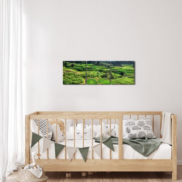 Obraz rýžových polí (s hodinami) (90x30 cm)