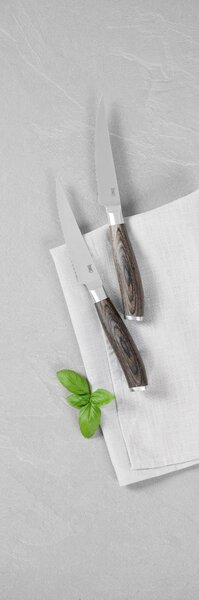 SADA STEAKOVÝCH NOŽŮ Homeware Profession