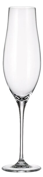 Crystalite Bohemia sklenice na šampaňské Limosa 200 ml 1KS