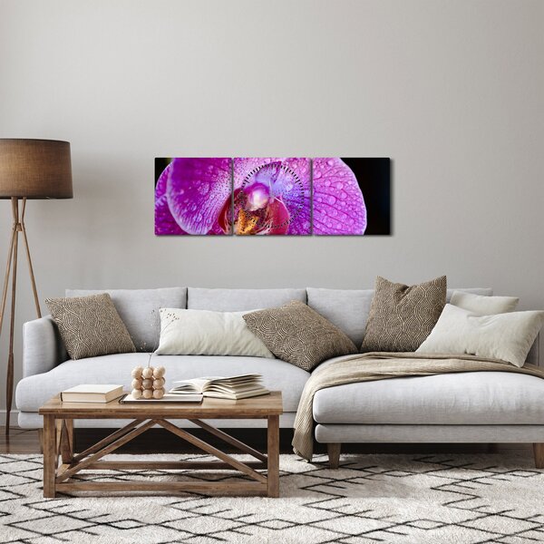 Detailní obraz květu orchideje (s hodinami) (90x30 cm)