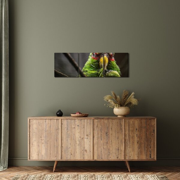 Obraz papouška (s hodinami) (90x30 cm)