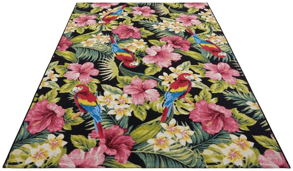 Hanse Home, Kusový koberec Flair 105619 Tropical Feeling Multicolored – na ven i na doma, 200x285, vícebarevná, chodba / předsíň