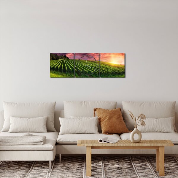 Obraz vinohradu s barevným nebem (s hodinami) (90x30 cm)