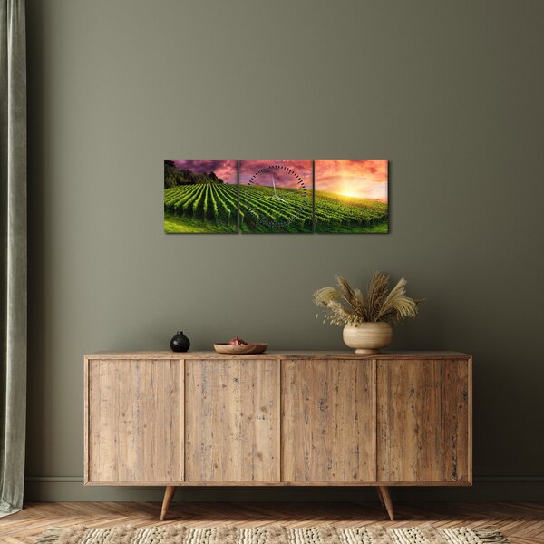 Obraz vinohradu s barevným nebem (s hodinami) (90x30 cm)