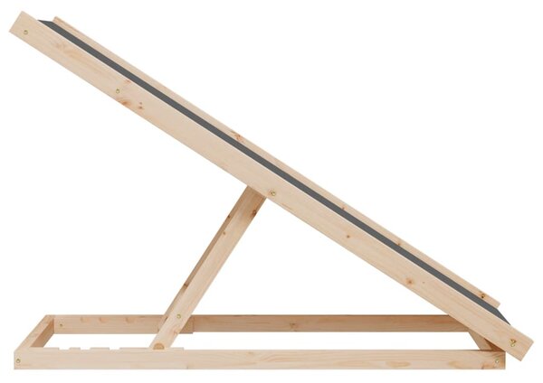 Rampa pro psy šedá 100 x 40 cm masivní jedlové dřevo 172417