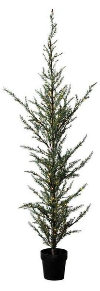 SIRIUS LED světelný stromek v květináči Cedr, 190 cm