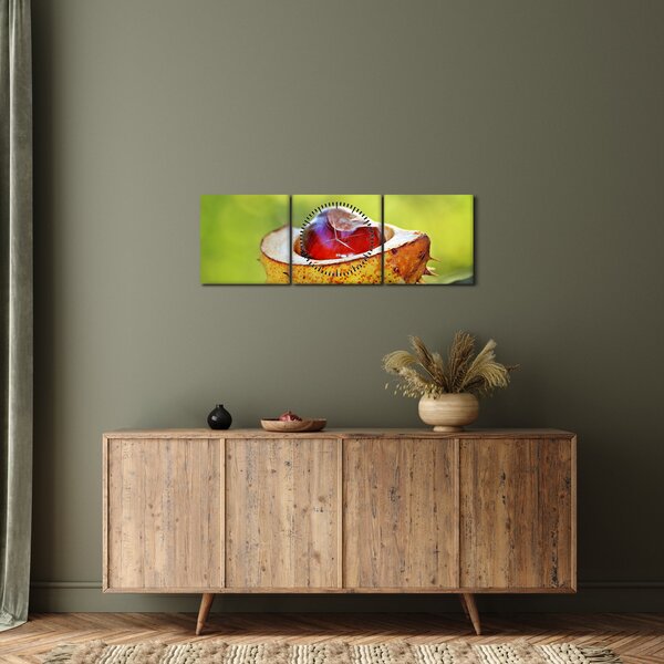 Obraz kaštanu (s hodinami) (90x30 cm)