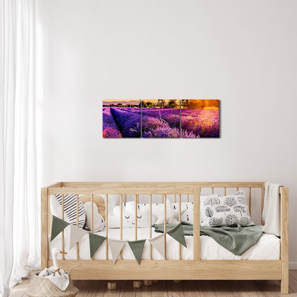 Obraz levandulového pole (s hodinami) (90x30 cm)