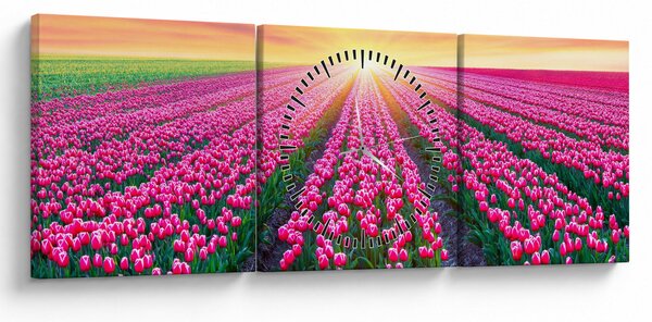 Obraz pole tulipánů se sluncem (s hodinami) (90x30 cm)