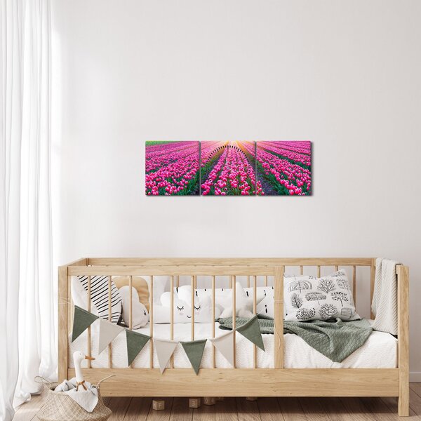 Obraz pole tulipánů se sluncem (s hodinami) (90x30 cm)