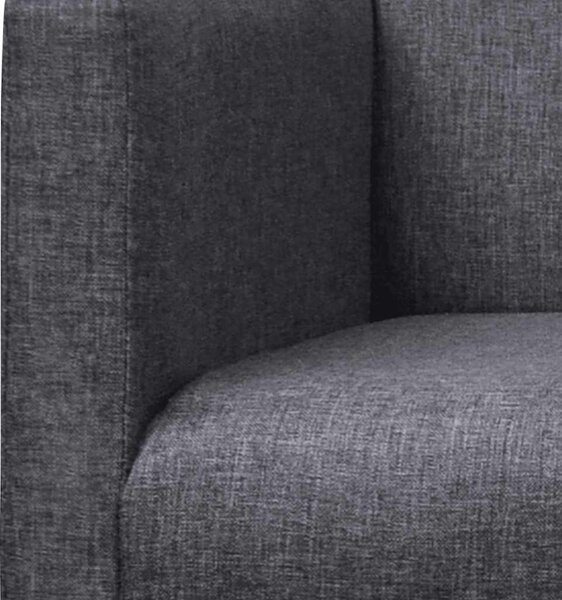 Lavice s polstrovanou poduškou textil kaučukovník tmavě šedá 241664