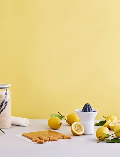 Rig-Tig Odšťavňovač na citrusy Squeezer - 0,3 l RT119