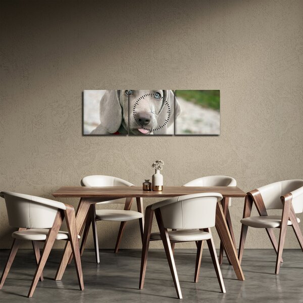 Obraz - štěně výmarský ohař (s hodinami) (90x30 cm)