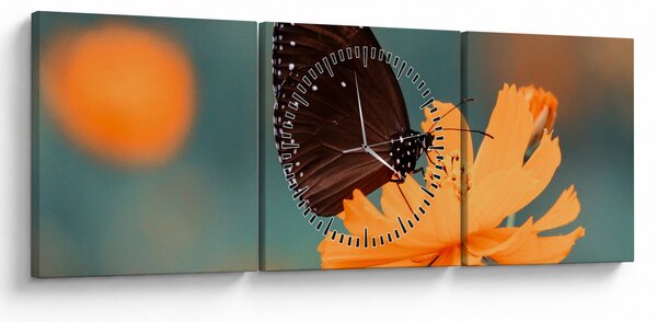 Obraz - motýl na oranžové květině (s hodinami) (90x30 cm)
