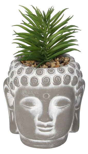Dekorace Succulent I Buddha 17cm