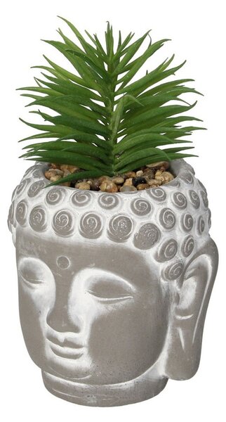 Dekorace Succulent I Buddha 17cm
