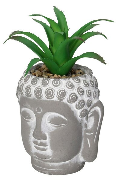 Dekorace Aloe Buddha 17cm