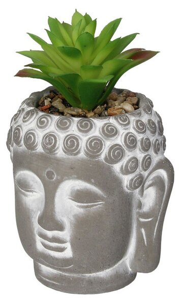 Dekorace Succulent III Buddha 17cm