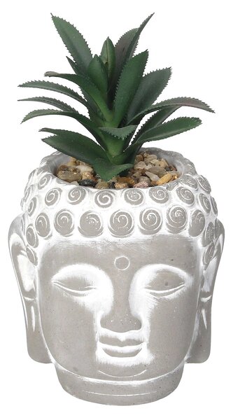 Dekorace Succulent II Buddha 17cm