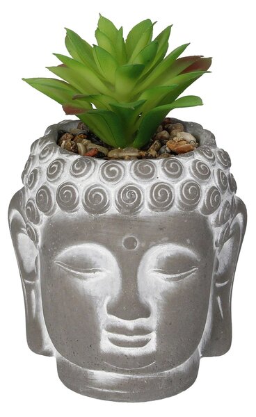 Dekorace Succulent III Buddha 17cm