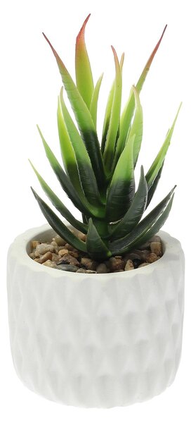 Dekorace Sansevieria 12cm