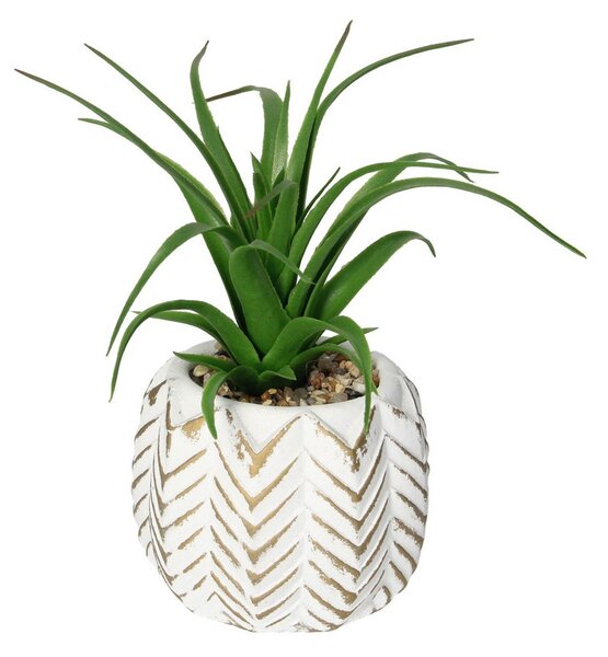 Dekorace Aloes II 14cm
