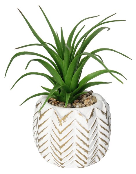 Dekorace Aloes II 14cm