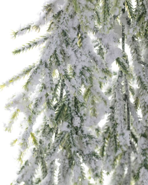Větvička White Pine 66cm
