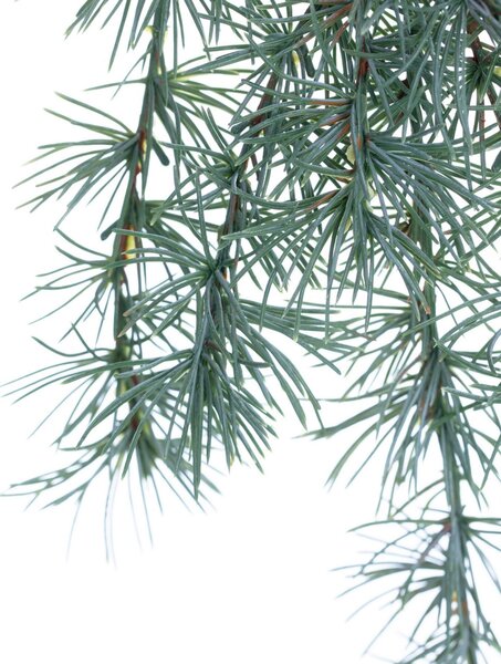 Větvička Christmas Tree 30x2x60cm light green