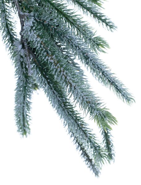 Girlanda Pine Tree 200x10x10cm frosted