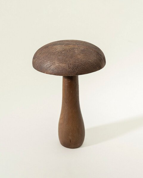 Houba Darkcap 12x18 cm