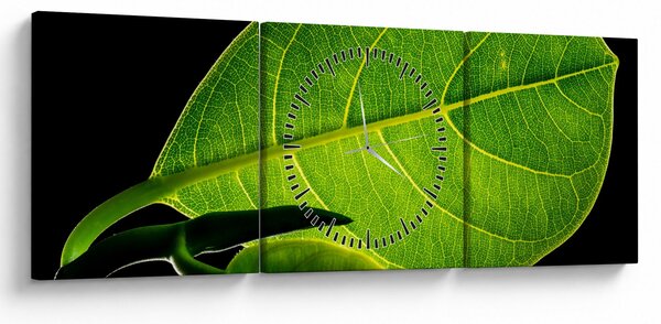 Obraz - zelený list (s hodinami) (90x30 cm)
