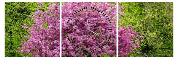Obraz rozkvetlého stromu na louce (s hodinami) (90x30 cm)