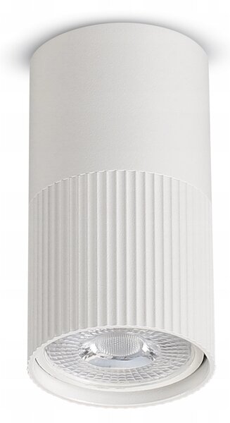 Bílé přisazené bodové svítidlo GU10, Ø 55 mm