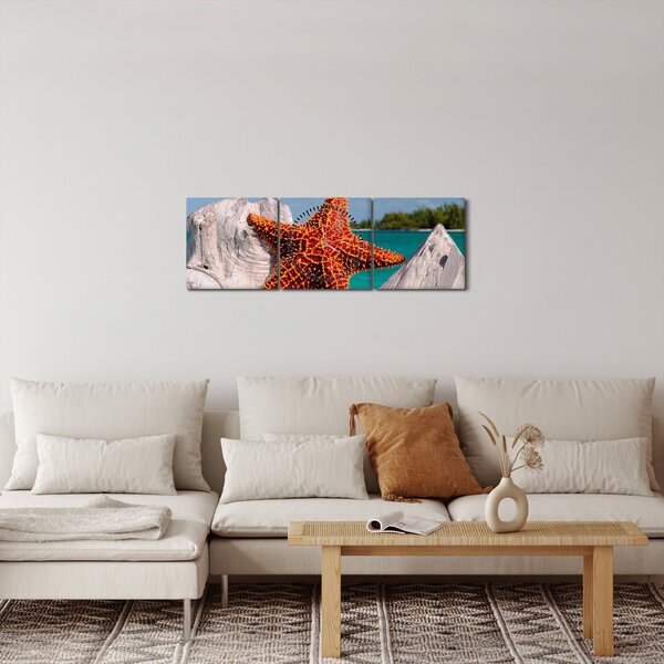 Obraz mořské hvězdice (s hodinami) (90x30 cm)