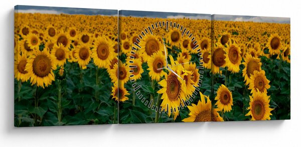 Obraz slunečnicového pole (s hodinami) (90x30 cm)
