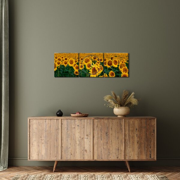 Obraz slunečnicového pole (s hodinami) (90x30 cm)