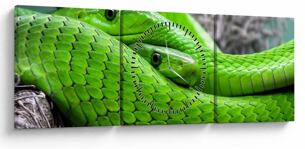 Obraz zelených hadů (s hodinami) (90x30 cm)